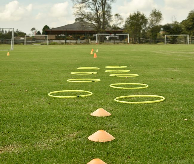 CANCHA 3